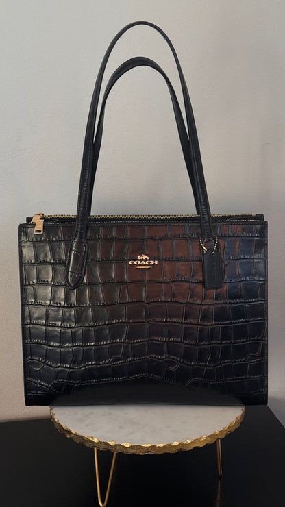 COACH NINA CARRYALL BIG SIZE